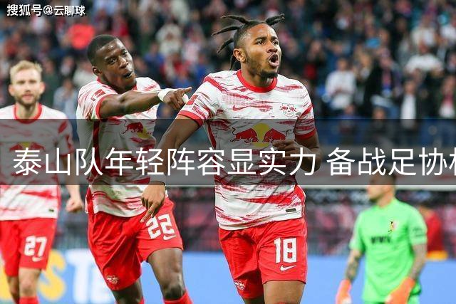 泰山队年轻阵容显实力 备战足协杯策略得当